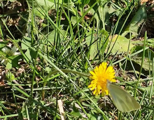 端午安康，沈陽(yáng)網(wǎng)站建設(shè)公司向困難群體獻(xiàn)愛(ài)心